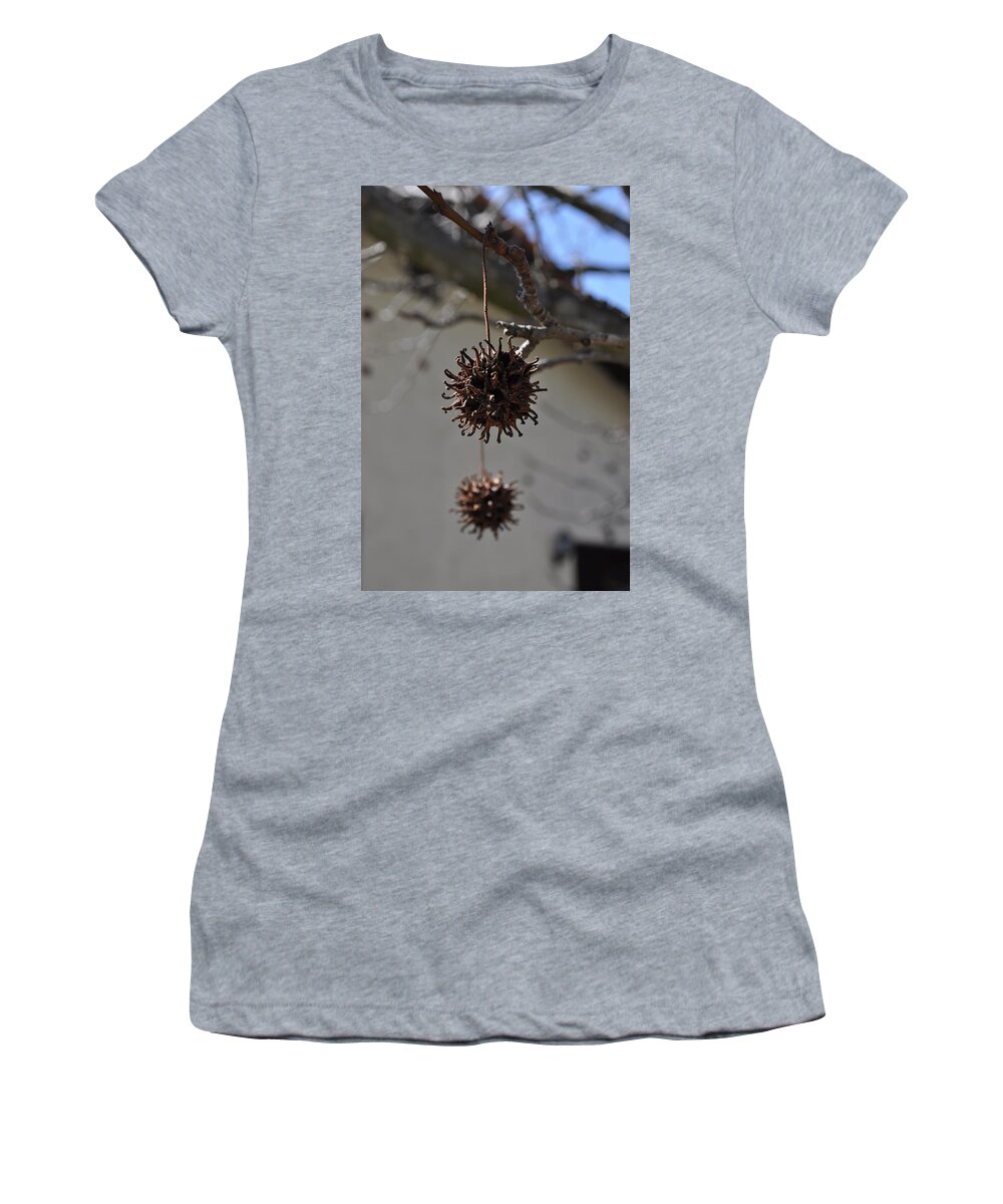 Pod Women's T-Shirt featuring the photograph Prickly Liquidamber Pod by Bridgette Gomes