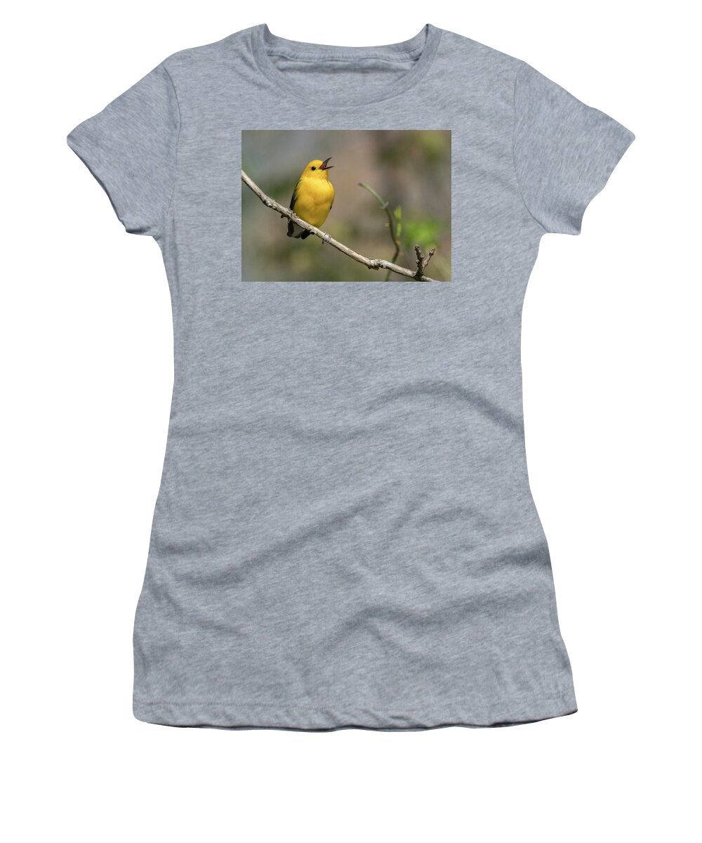 Prothonotary Warbler Women's T-Shirt featuring the photograph Prothonotary Warbler singing by Jack Nevitt