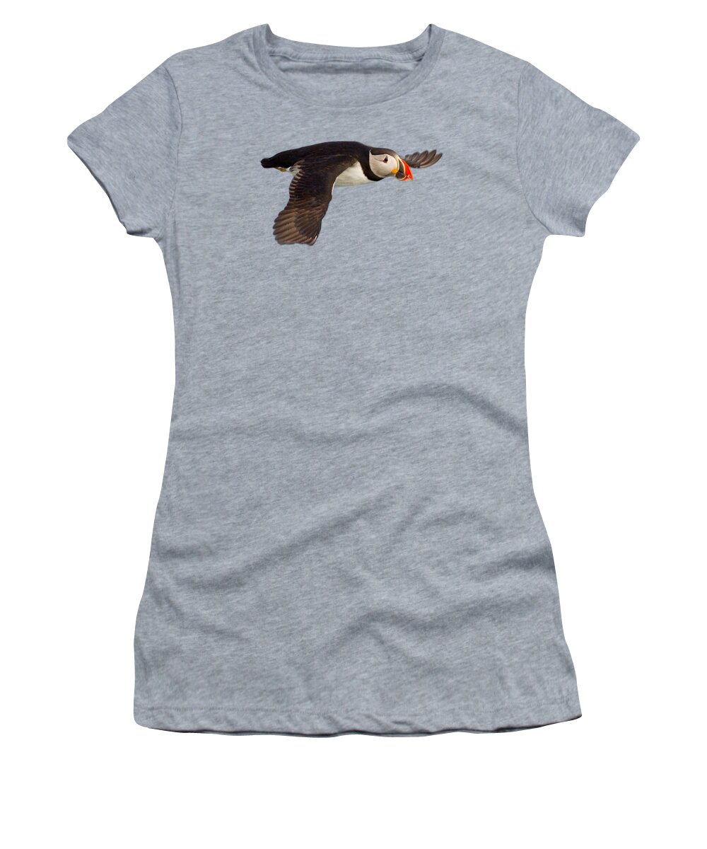 Puffin Women's T-Shirt featuring the photograph Puffin in flight T-shirt by Tony Mills