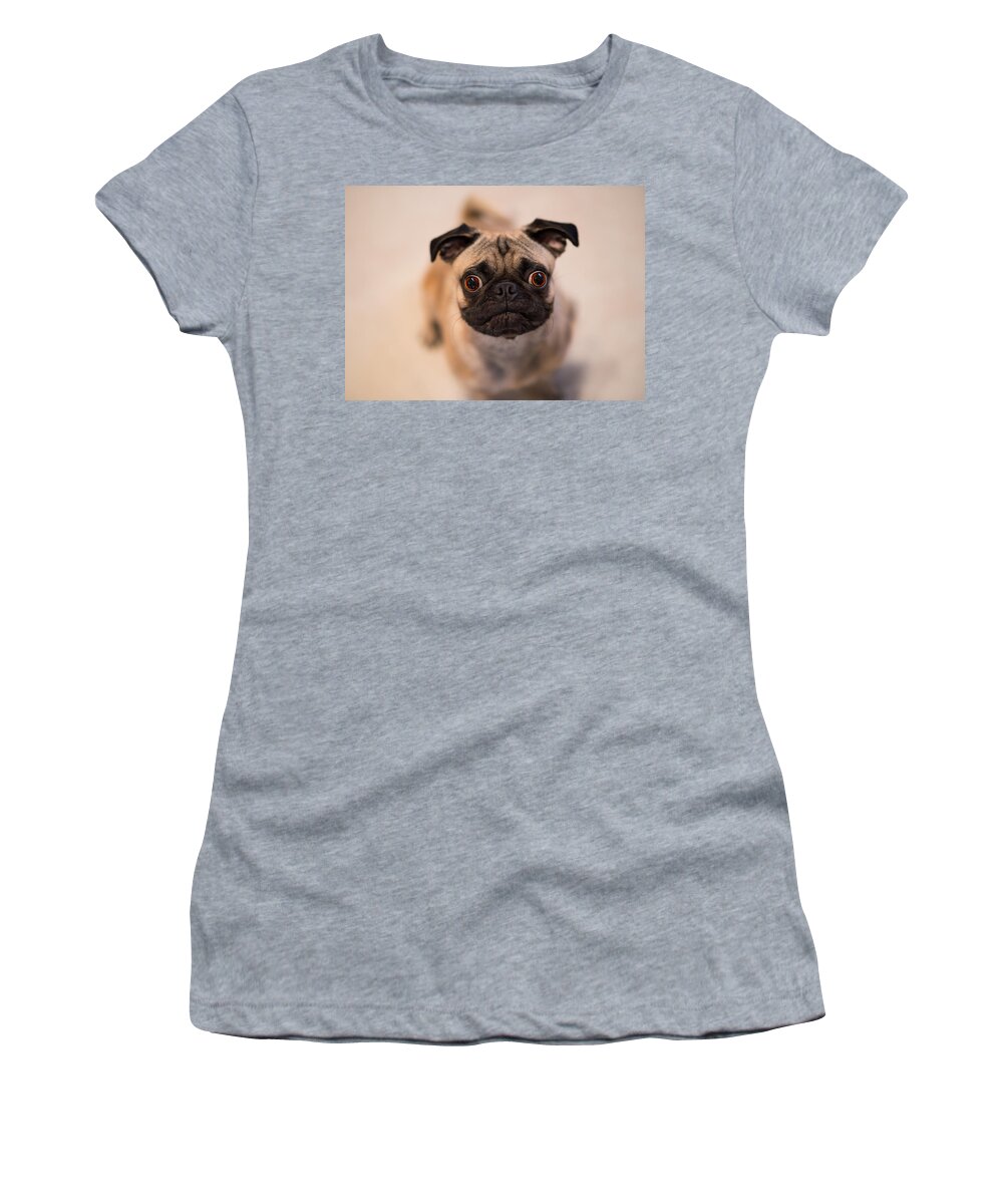 Pug Women's T-Shirt featuring the photograph Pug Dog by Laura Fasulo