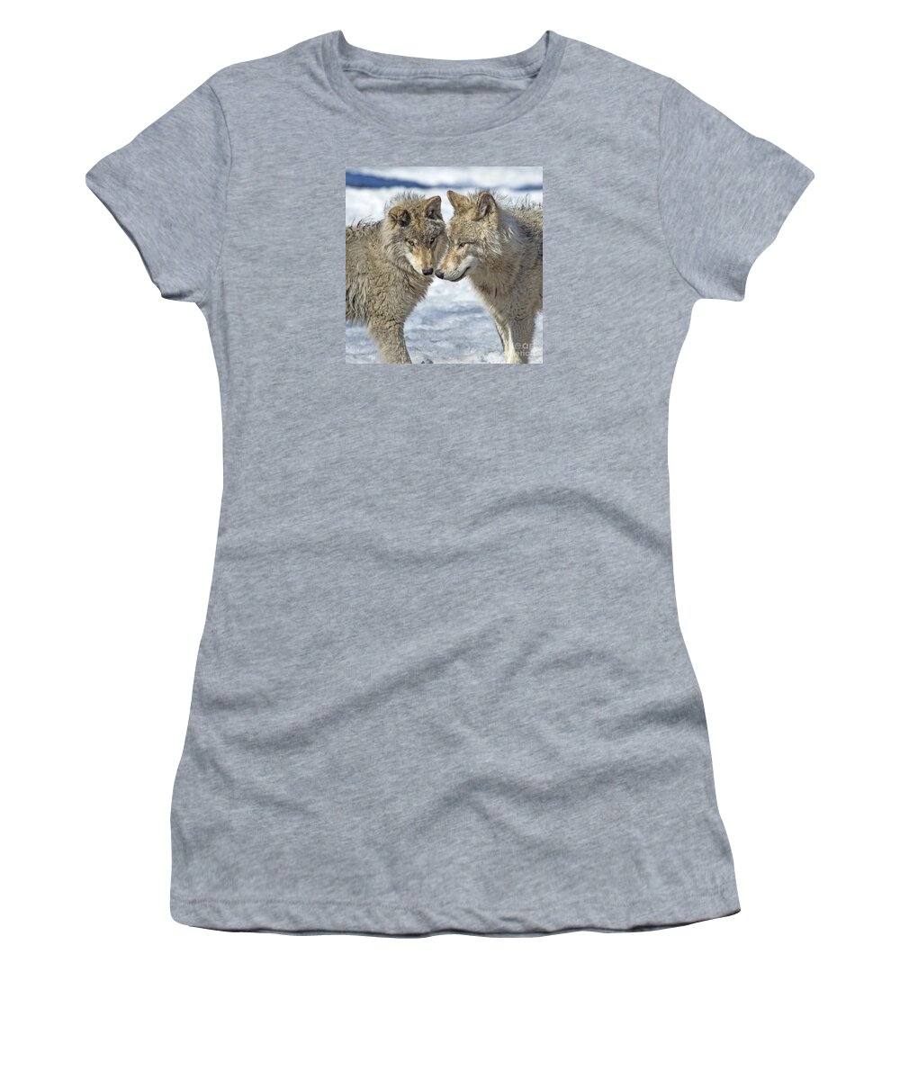 Nina Stavlund Women's T-Shirt featuring the photograph Puppy Love.. by Nina Stavlund