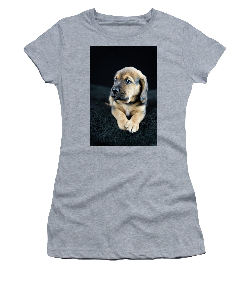 Puppies Women's T-Shirt featuring the photograph Puppy Portrait by Tammy Ray