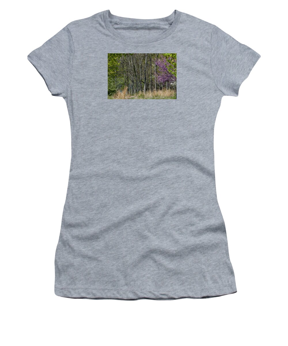 Bare Limbs Women's T-Shirt featuring the photograph Purple and Green by Brian Green