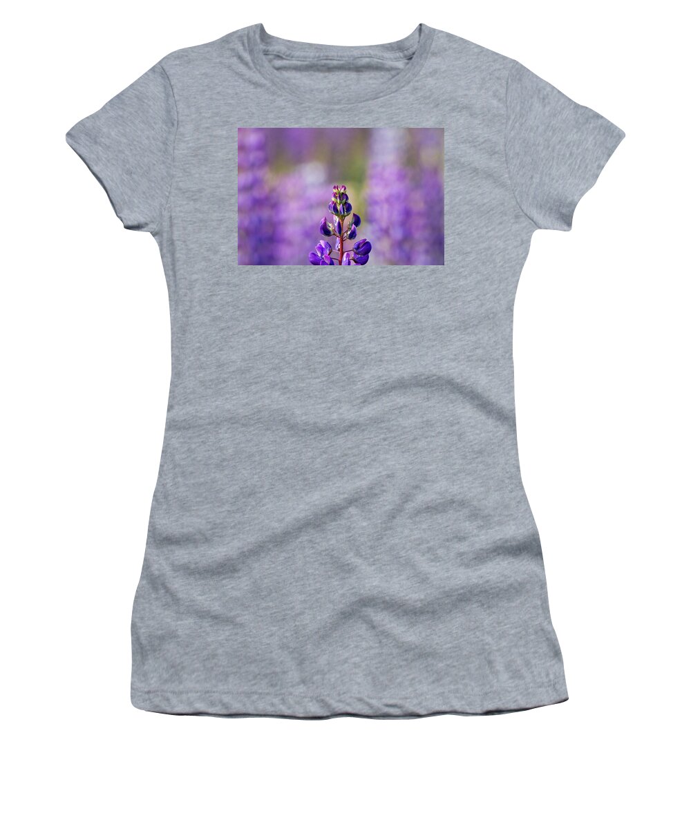 Flowers Women's T-Shirt featuring the photograph Purple by Darryl Hendricks