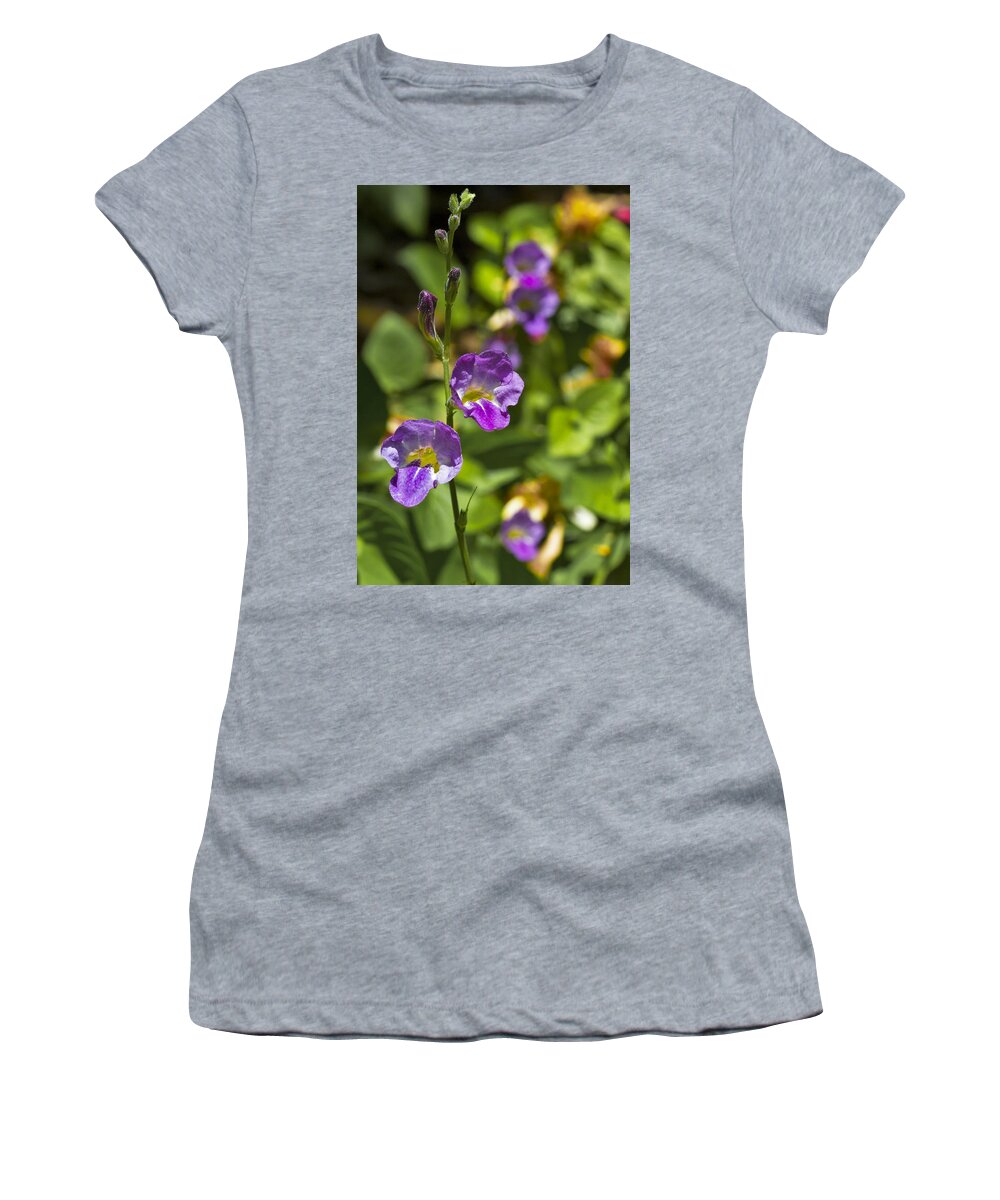 Stem Women's T-Shirt featuring the photograph Purple Flowers 2 by Bob Slitzan