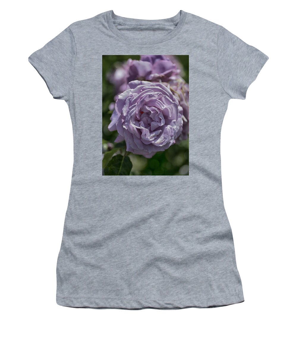 Rose Women's T-Shirt featuring the photograph Purple Rose by Patricia Dennis