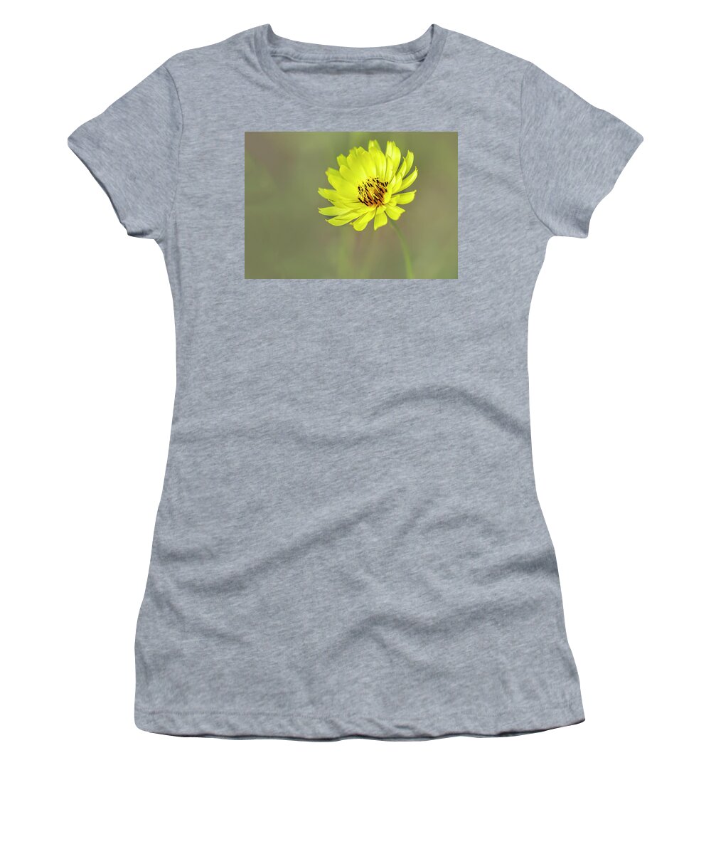 Asteraceae Women's T-Shirt featuring the photograph Putting my best face forward. by Usha Peddamatham