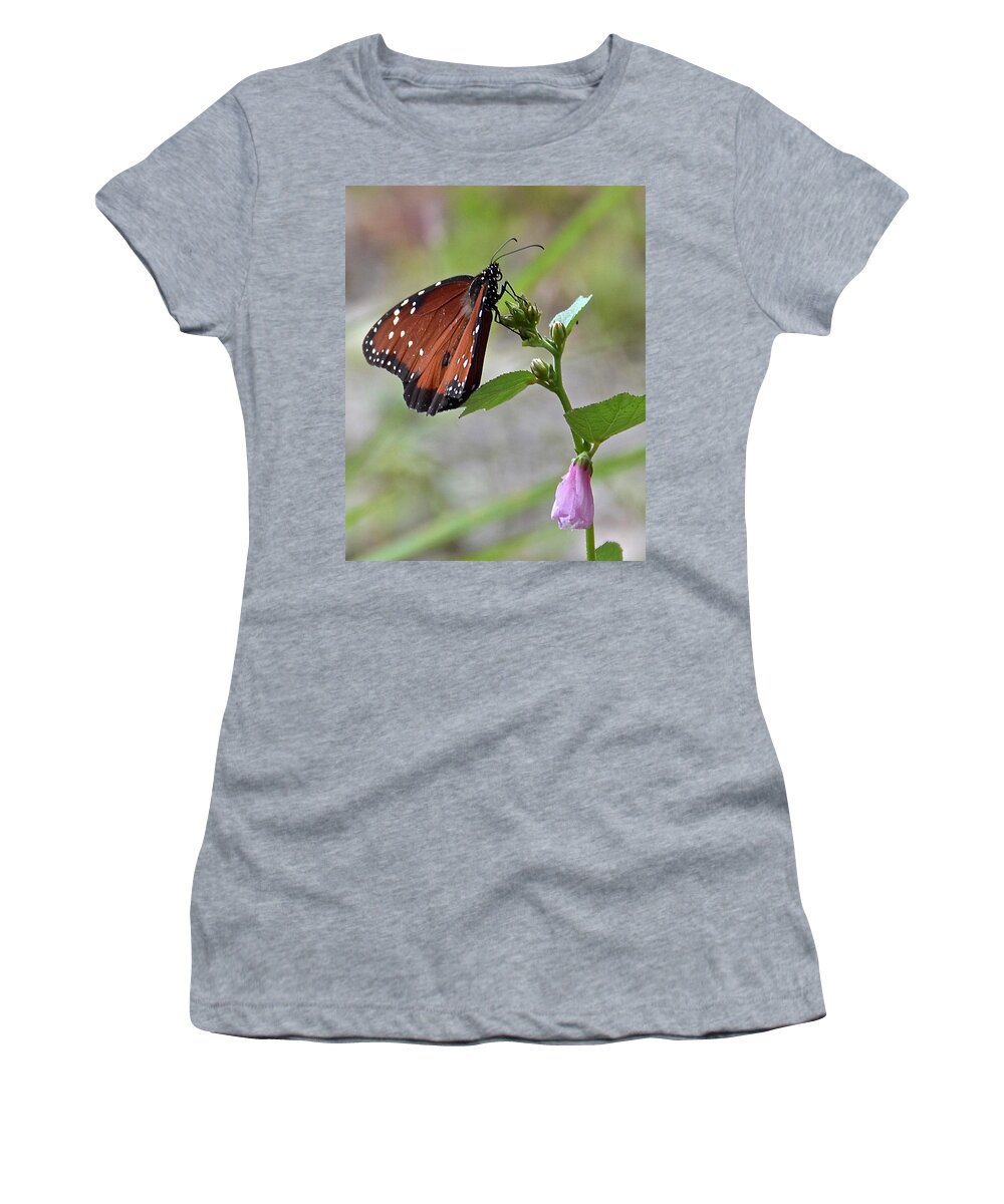 Butterfly Women's T-Shirt featuring the photograph Queen Butterfly by Carol Bradley