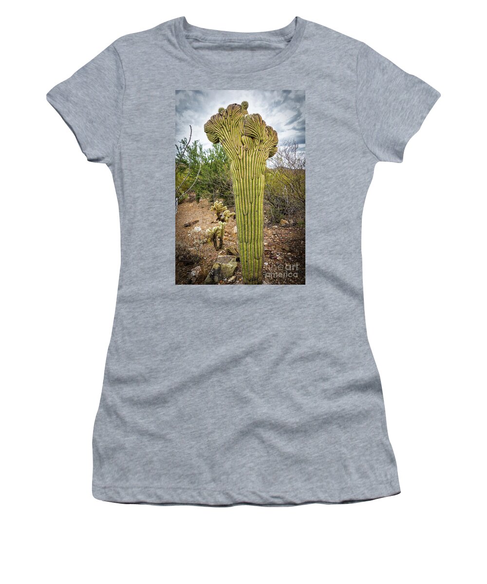 Arid Women's T-Shirt featuring the photograph Queen of the Crested Saguaros by David Levin