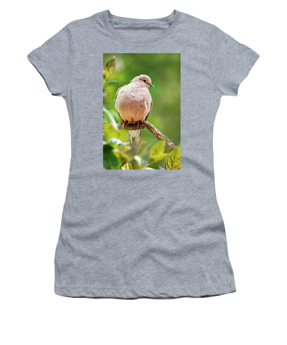 Dove Women's T-Shirt featuring the photograph Rain Dove by Christina Rollo