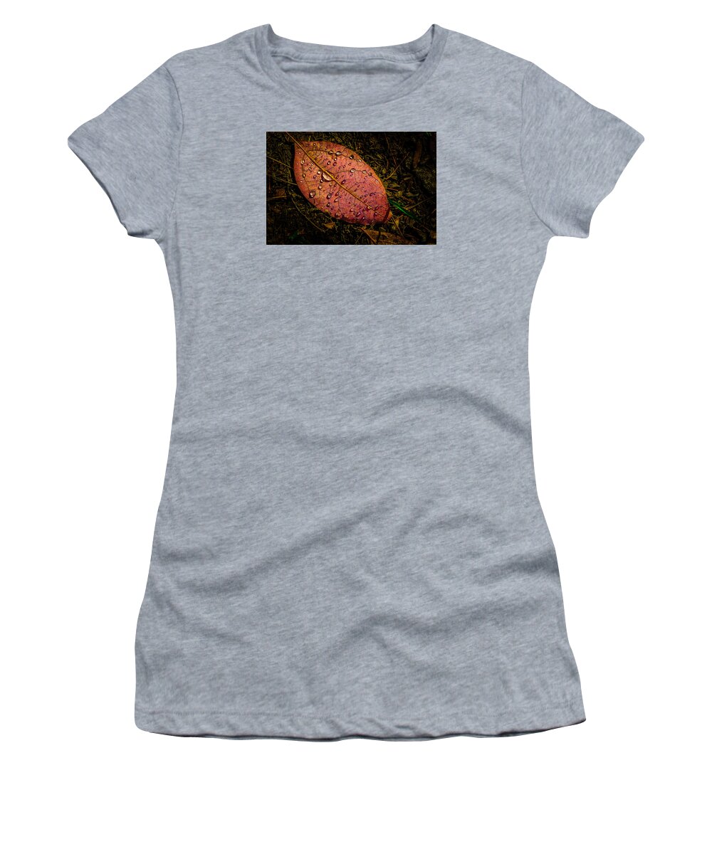 Raindrops Women's T-Shirt featuring the photograph Raindrops on the Fallen - i by Mark Rogers