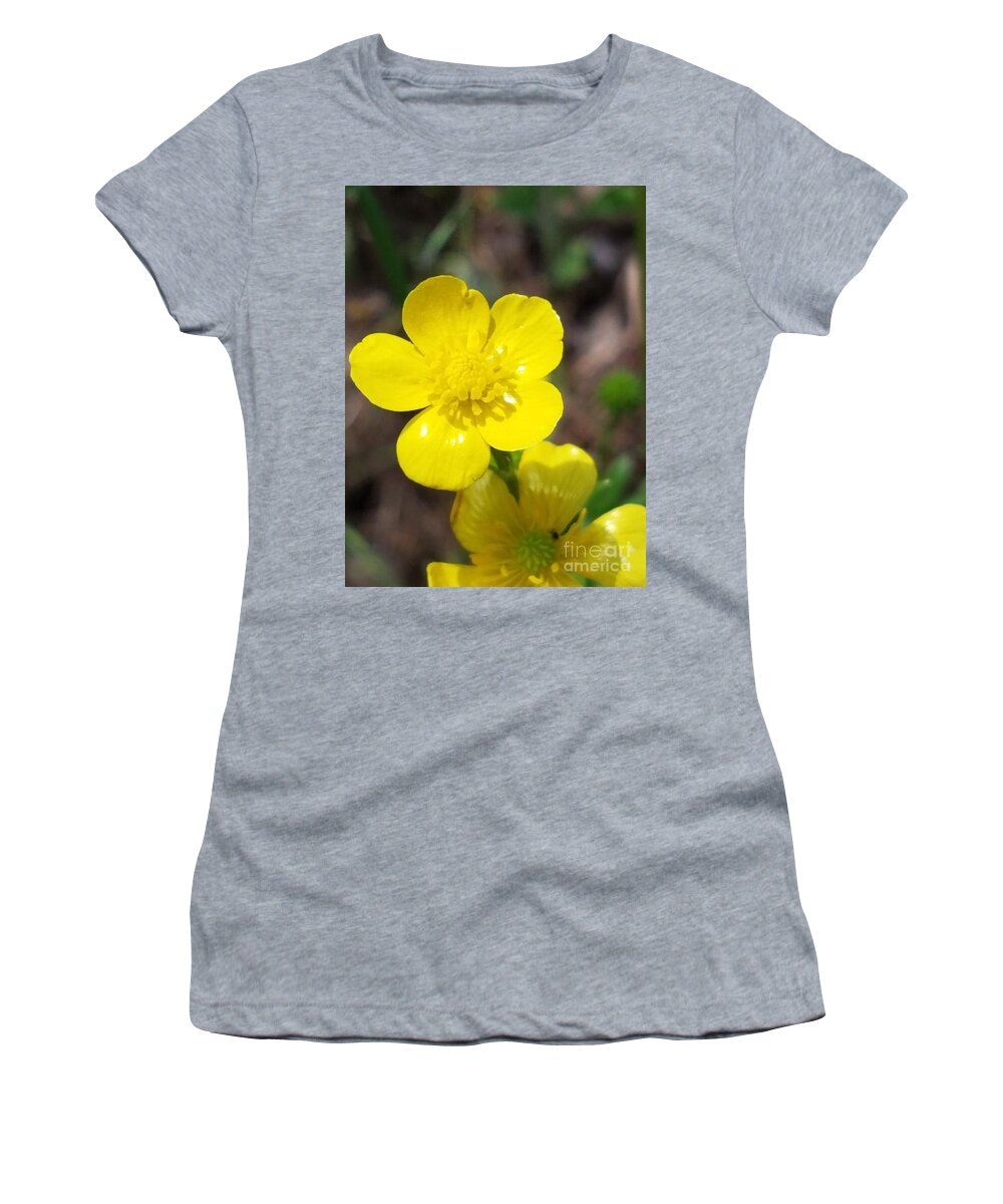 Ranunculus Bulbosus Women's T-Shirt featuring the photograph Ranunculus Bulbosus by Maria Urso