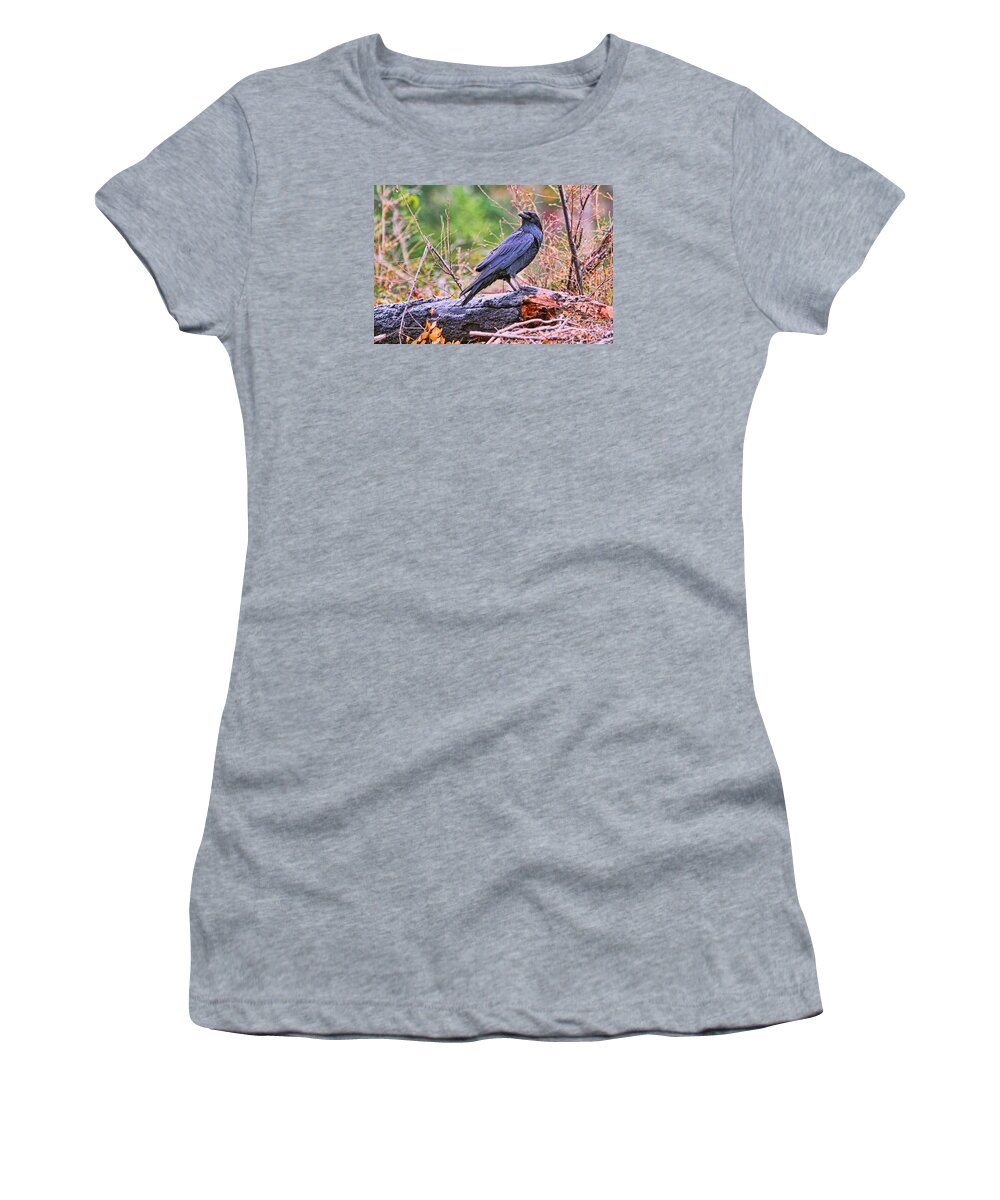 Raven Women's T-Shirt featuring the photograph Raven by Peggy Collins