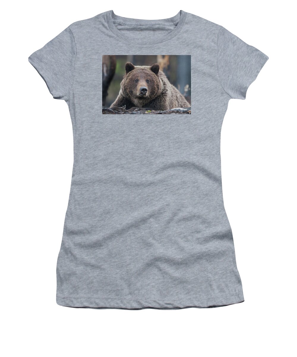 Mark Miller Photos Women's T-Shirt featuring the photograph Raw, Rugged and Wild- Grizzly by Mark Miller