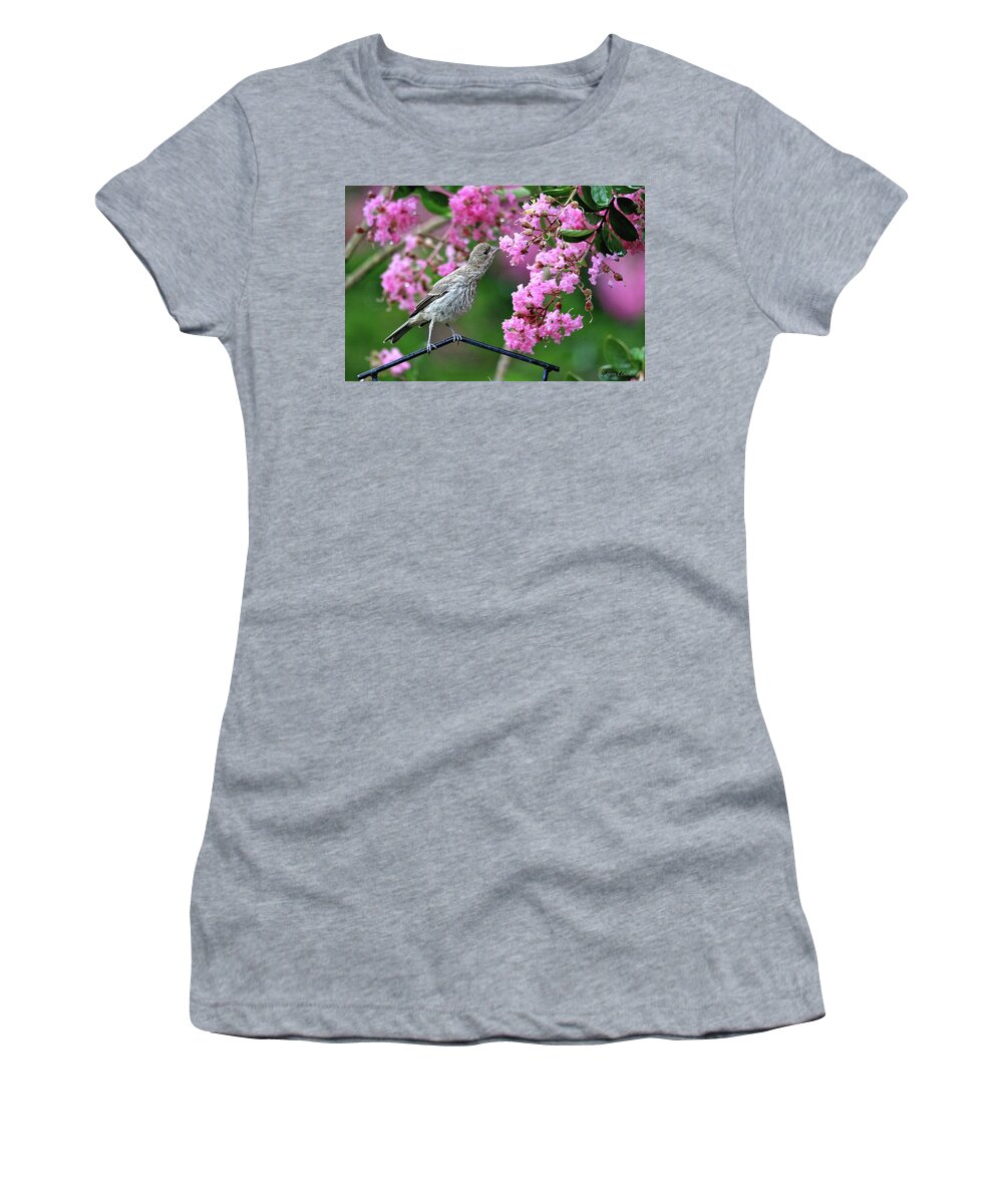 Birds Women's T-Shirt featuring the photograph Reach For It by Trina Ansel