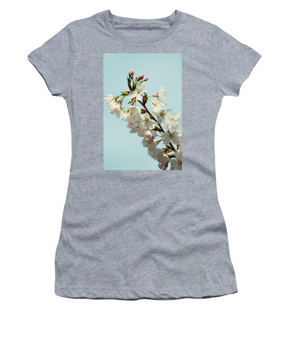 Cherry Blossom Trees Women's T-Shirt featuring the photograph Reaching To New Heights by Angie Tirado