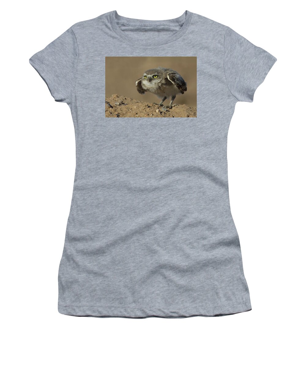 Owl Women's T-Shirt featuring the photograph Ready for Take Off by Sue Cullumber