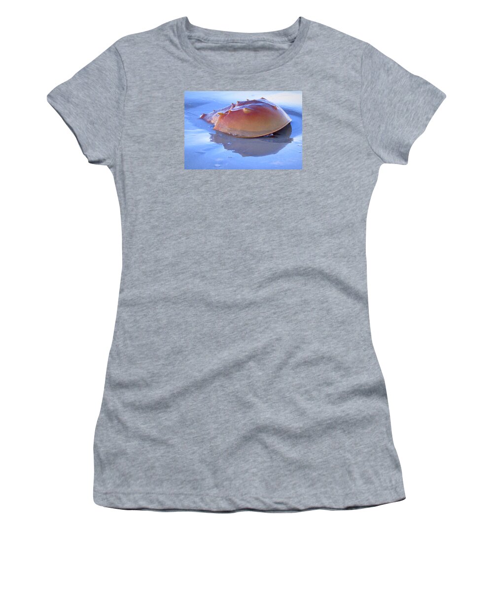 Outdoor Women's T-Shirt featuring the photograph Red and Blue Horseshoe by Wanderbird Photographi LLC