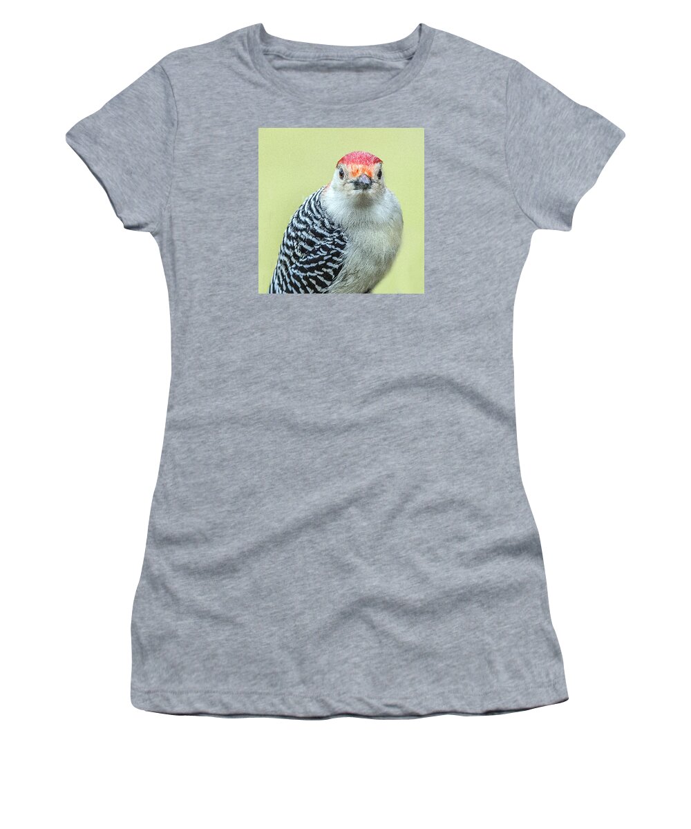 Red Bellied Woodpecker Women's T-Shirt featuring the photograph Red Bellied Woodpecker Portrait by William Bitman