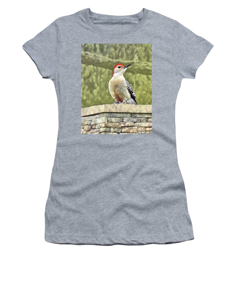 Woodpecker Women's T-Shirt featuring the photograph Red-Bellied Woodpecker Sighting in March by Janette Boyd