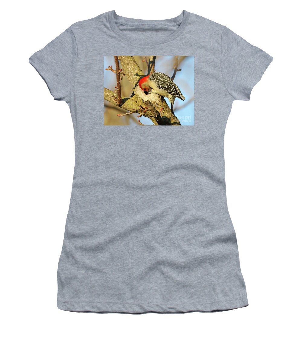 Bird Women's T-Shirt featuring the photograph Red Bellied Woodpecker by Steve Gass