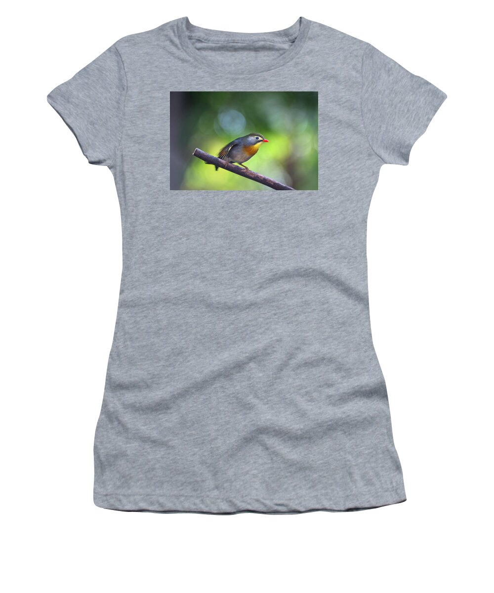 Red Billed Leiothrix Women's T-Shirt featuring the photograph Red Billed Leiothrix by John Poon