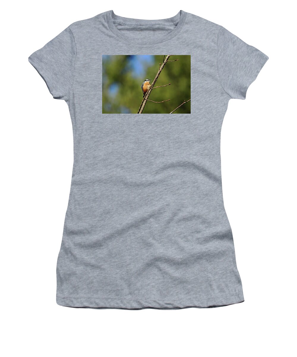 Nuthatch Women's T-Shirt featuring the photograph Red Breasted Nuthatch In Fall by Debbie Oppermann