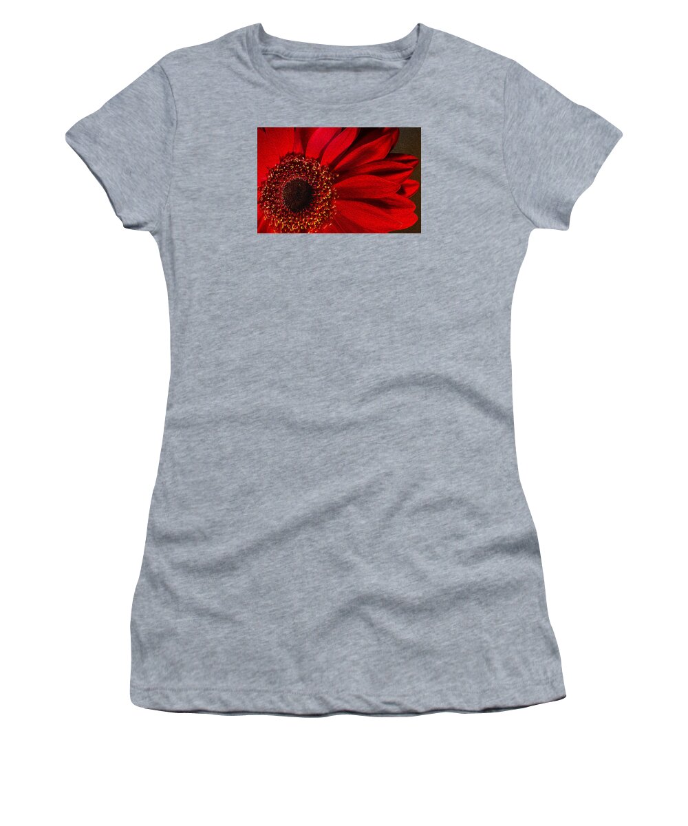 Flower Women's T-Shirt featuring the photograph Red Chrysanthemum Flower Bloom in Oil Painting Fusion by John Williams