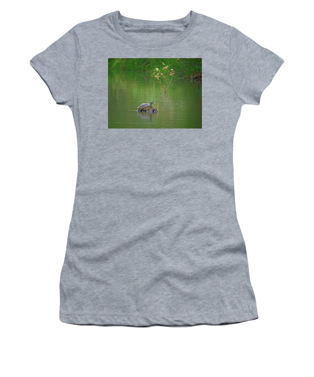 Red Women's T-Shirt featuring the photograph Red-eared Slider Turtle by Tam Ryan