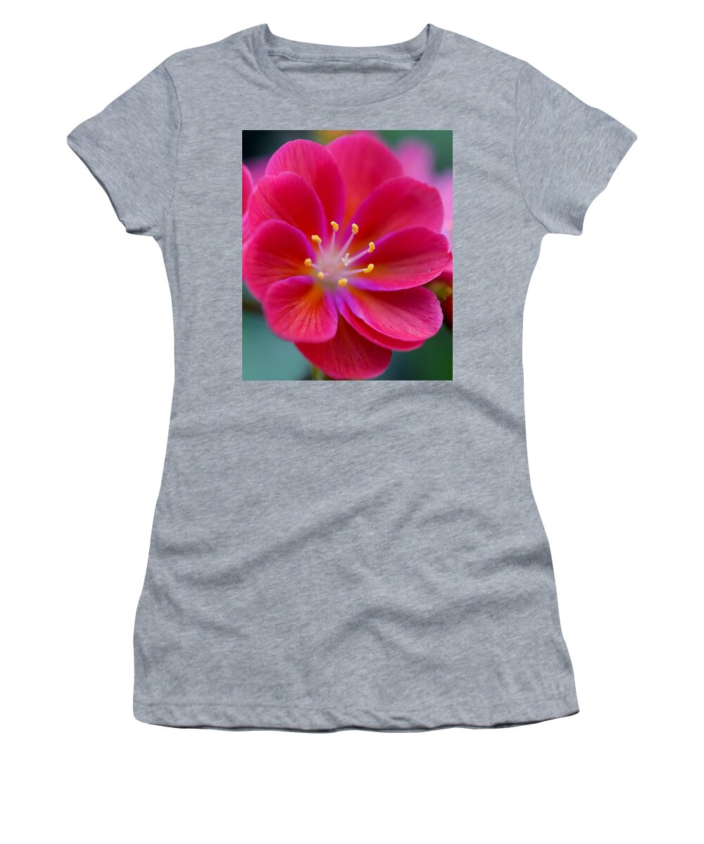 Red Women's T-Shirt featuring the photograph Red Lewisia by Jimmy Chuck Smith