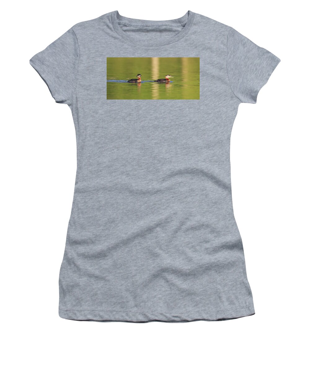 Sam Amato Photography Women's T-Shirt featuring the photograph Red Neck Grebes by Sam Amato