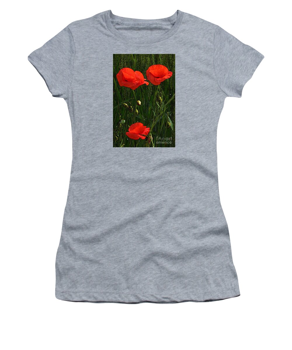 Art Women's T-Shirt featuring the photograph Red Poppy Flowers In Grassland 3 by Jean Bernard Roussilhe