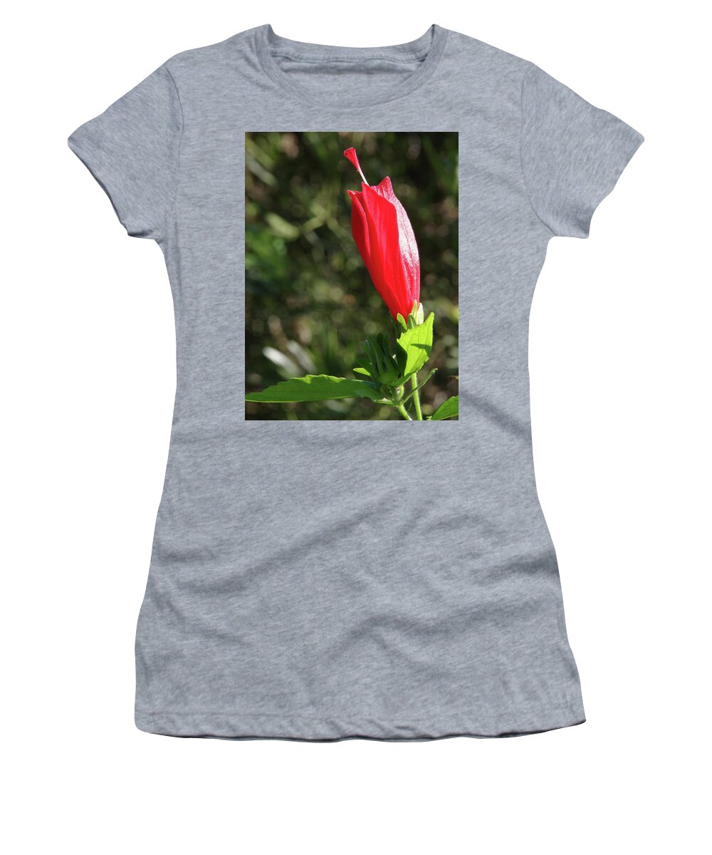 Florida Women's T-Shirt featuring the photograph Red Prince Weigela by Richard Rizzo