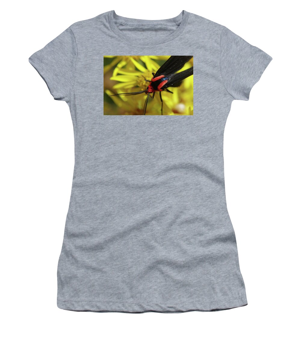 Adria Trail Women's T-Shirt featuring the photograph Red Ragwort Visitor by Adria Trail