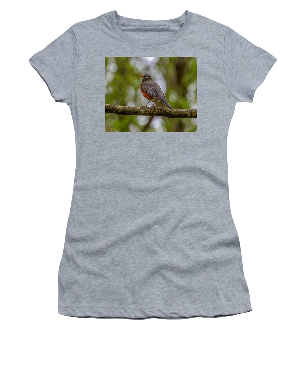 Robin Women's T-Shirt featuring the photograph Red robin by Jerry Cahill