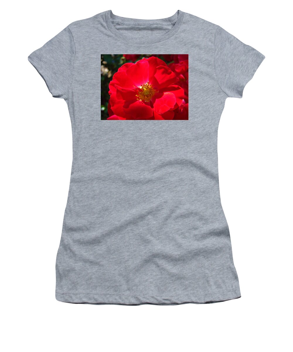 Rose Women's T-Shirt featuring the photograph RED ROSE Art Print Sunlit Roses Botanical Giclee Baslee Troutman by Patti Baslee