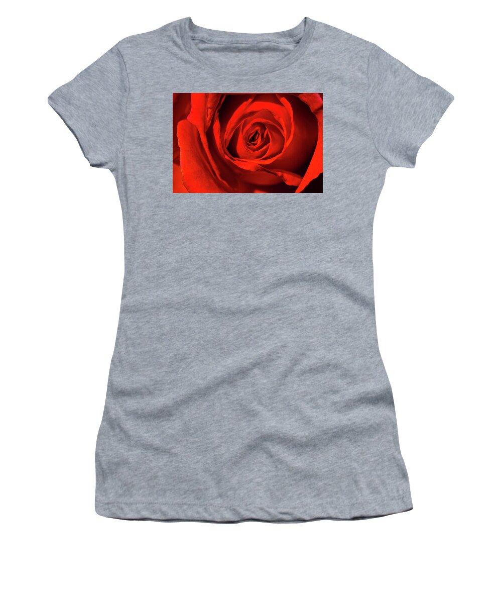 Jay Stockhaus Women's T-Shirt featuring the photograph Red Rose by Jay Stockhaus