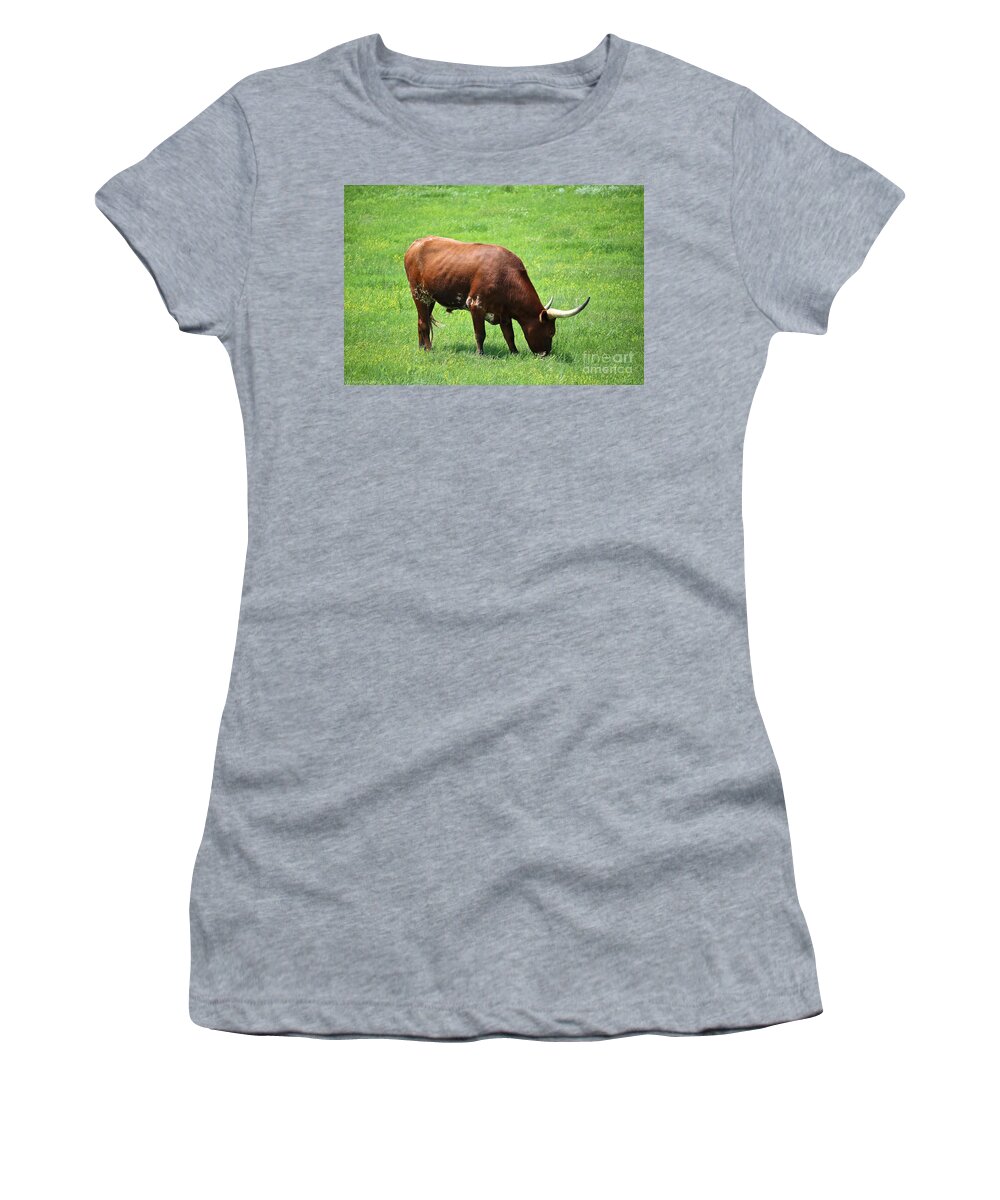 Long Horn Cow Women's T-Shirt featuring the photograph Red Rover by Susan Herber