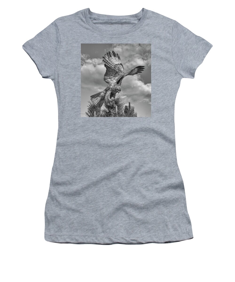 Hawk Women's T-Shirt featuring the photograph Red tailed Hawk Wings BW by Rick Mosher