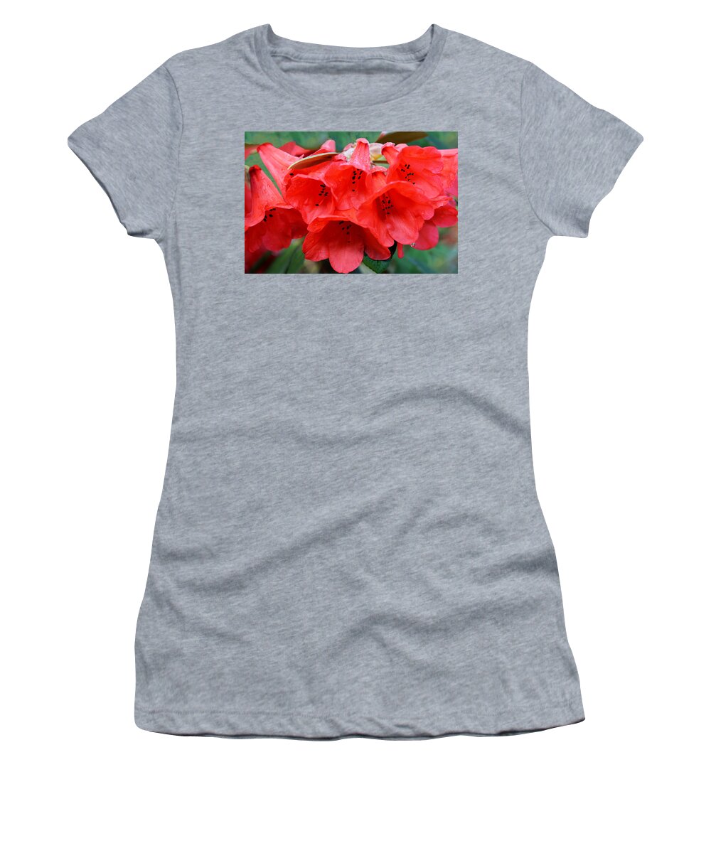 Rhododendron Women's T-Shirt featuring the photograph Red Trumpet Rhodies by Ginny Barklow