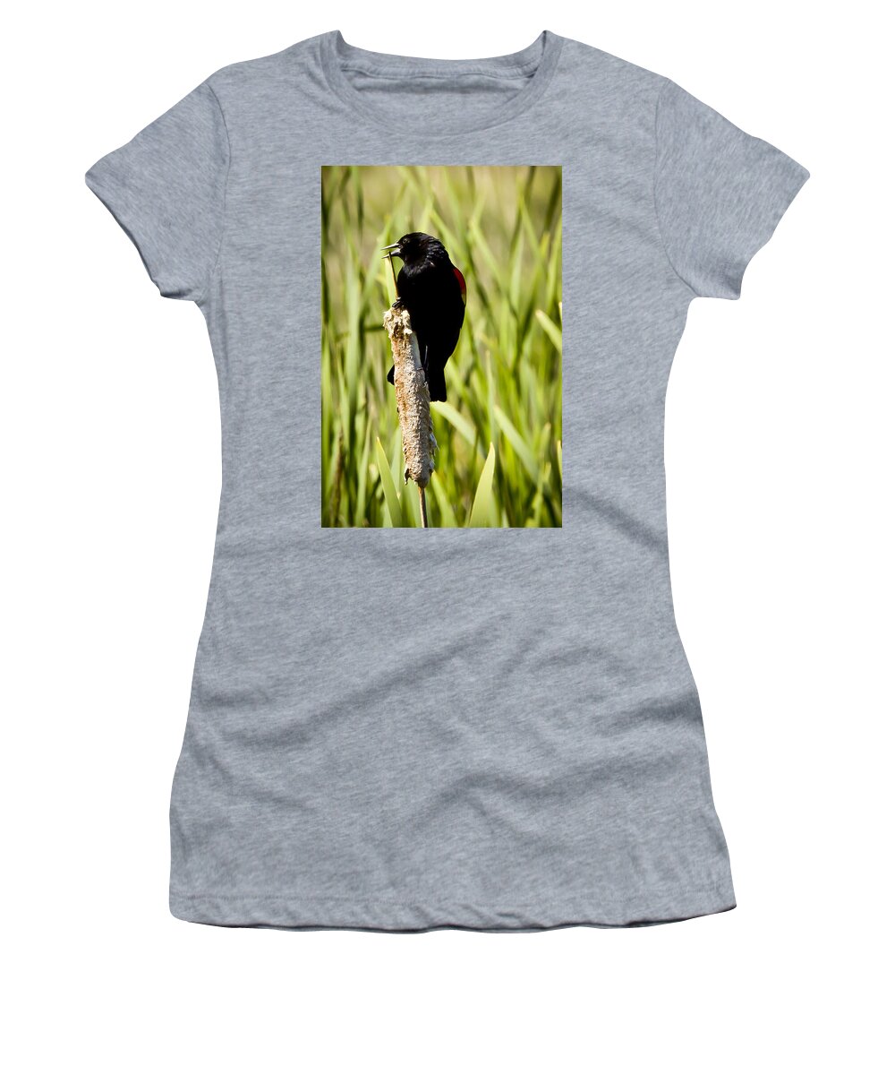Wildlife Women's T-Shirt featuring the photograph Red-winged Blackbird by Albert Seger