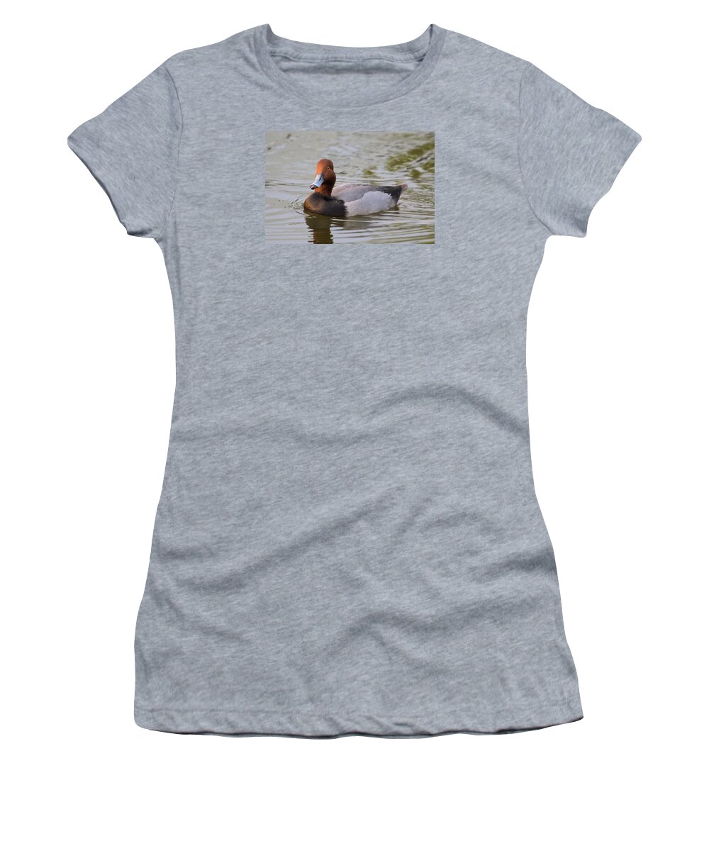 Duck Women's T-Shirt featuring the photograph Redhead Duck Swimming by John Harmon