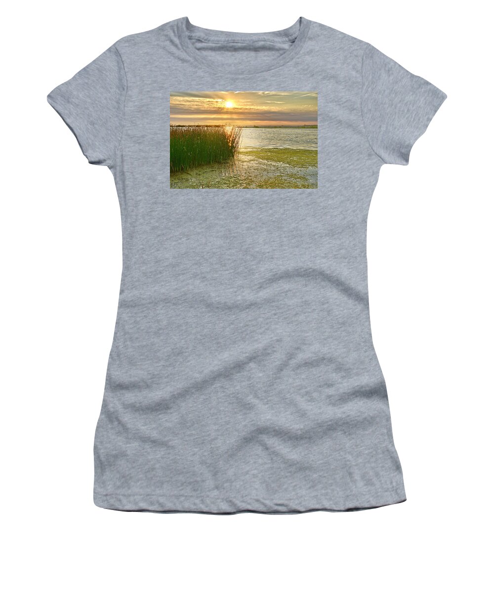 Reeds Women's T-Shirt featuring the photograph Reeds in the Sunset by Frans Blok