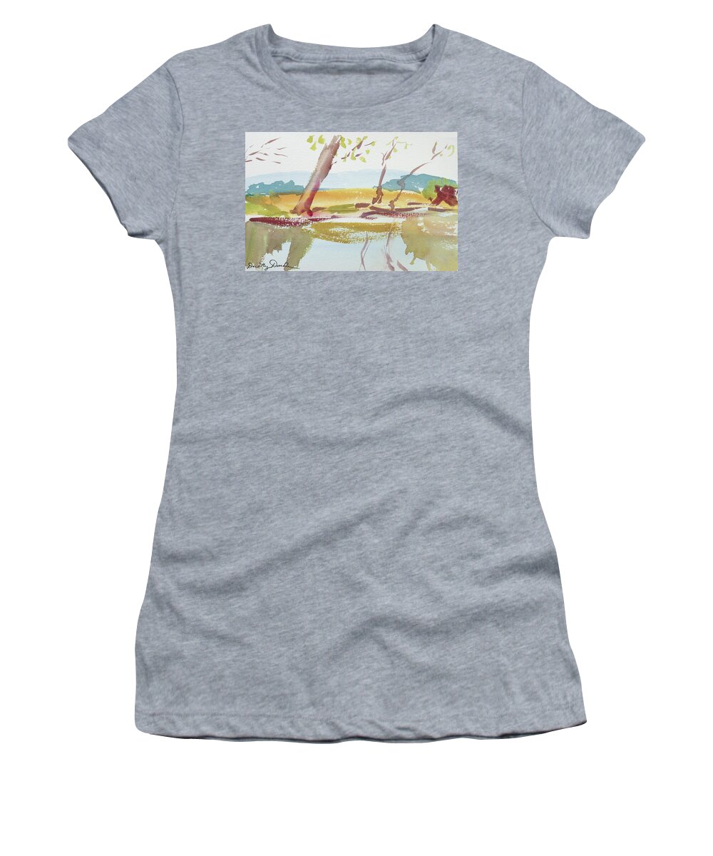 Australia Women's T-Shirt featuring the painting Quiet Stream by Dorothy Darden