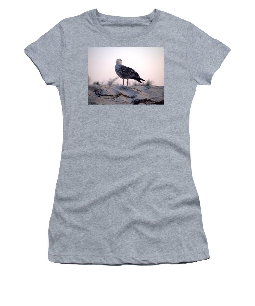 Regal Gull Women's T-Shirt featuring the photograph Regal Gull by Newwwman