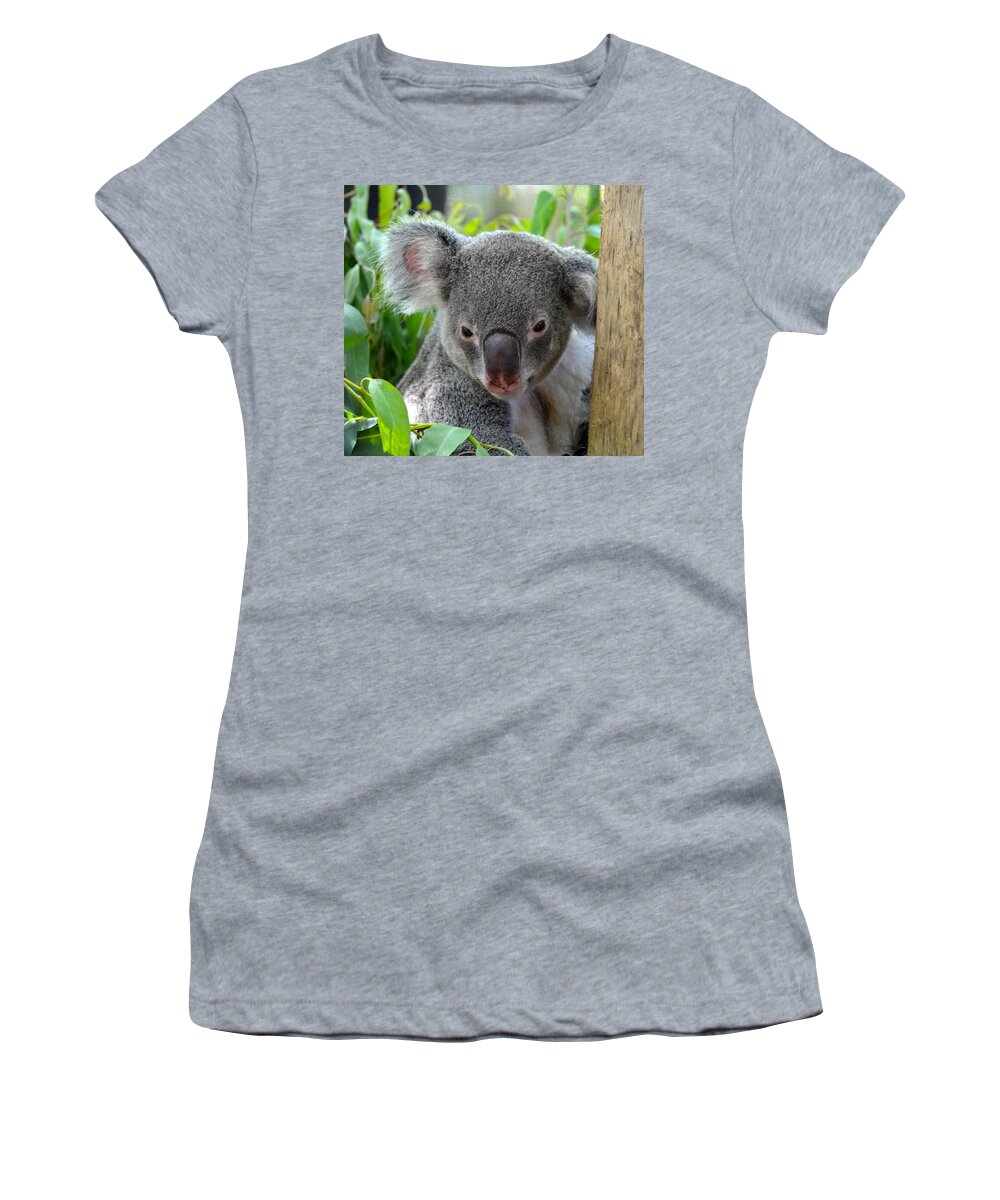 Koala Women's T-Shirt featuring the photograph Resting Happy Koala by Richard Bryce and Family