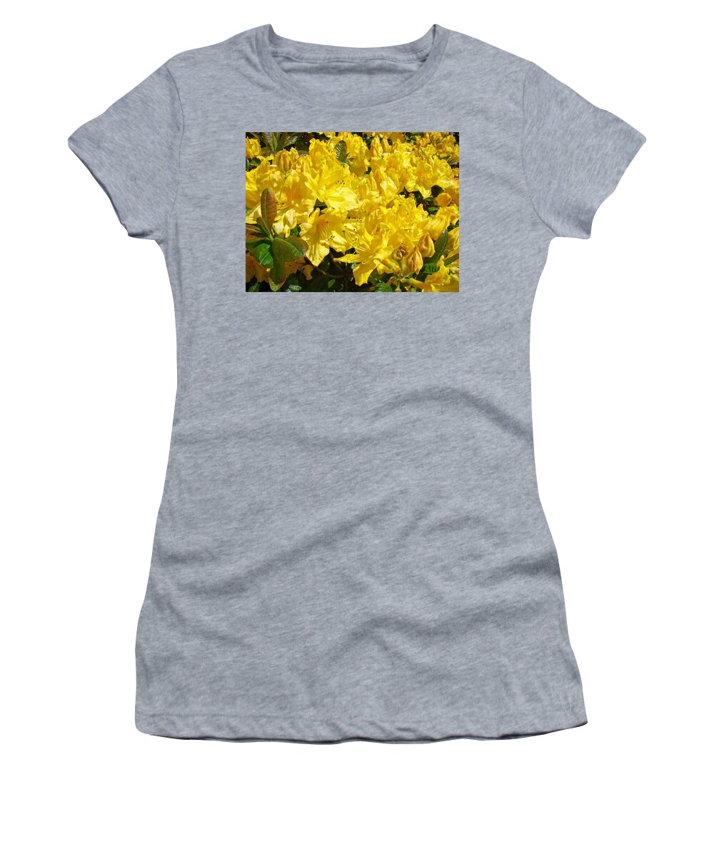 Rhodie Women's T-Shirt featuring the photograph Rhodies Yellow Rhododendrons art prints Baslee Troutman by Patti Baslee