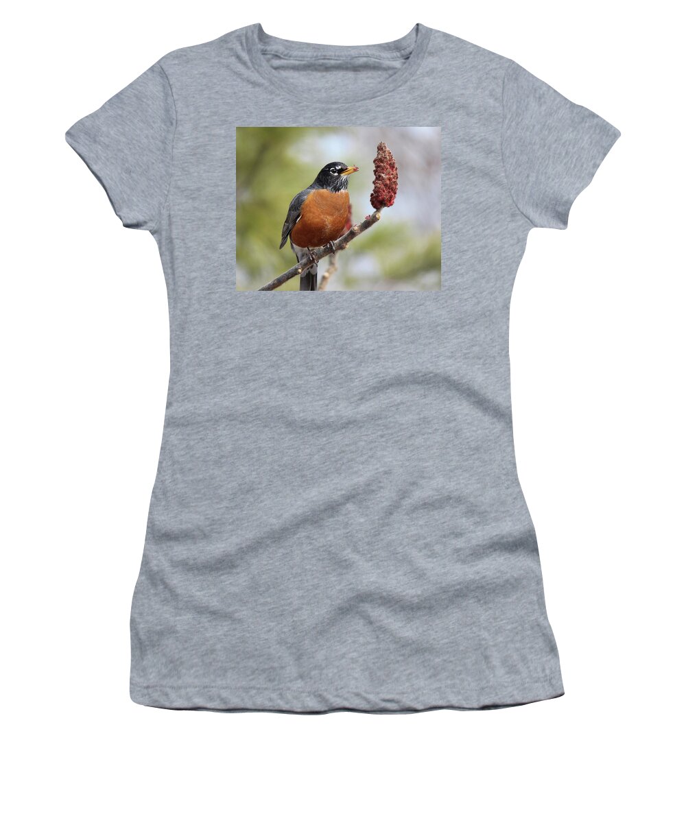 Orange Women's T-Shirt featuring the photograph Robin and Sumac by David Pickett