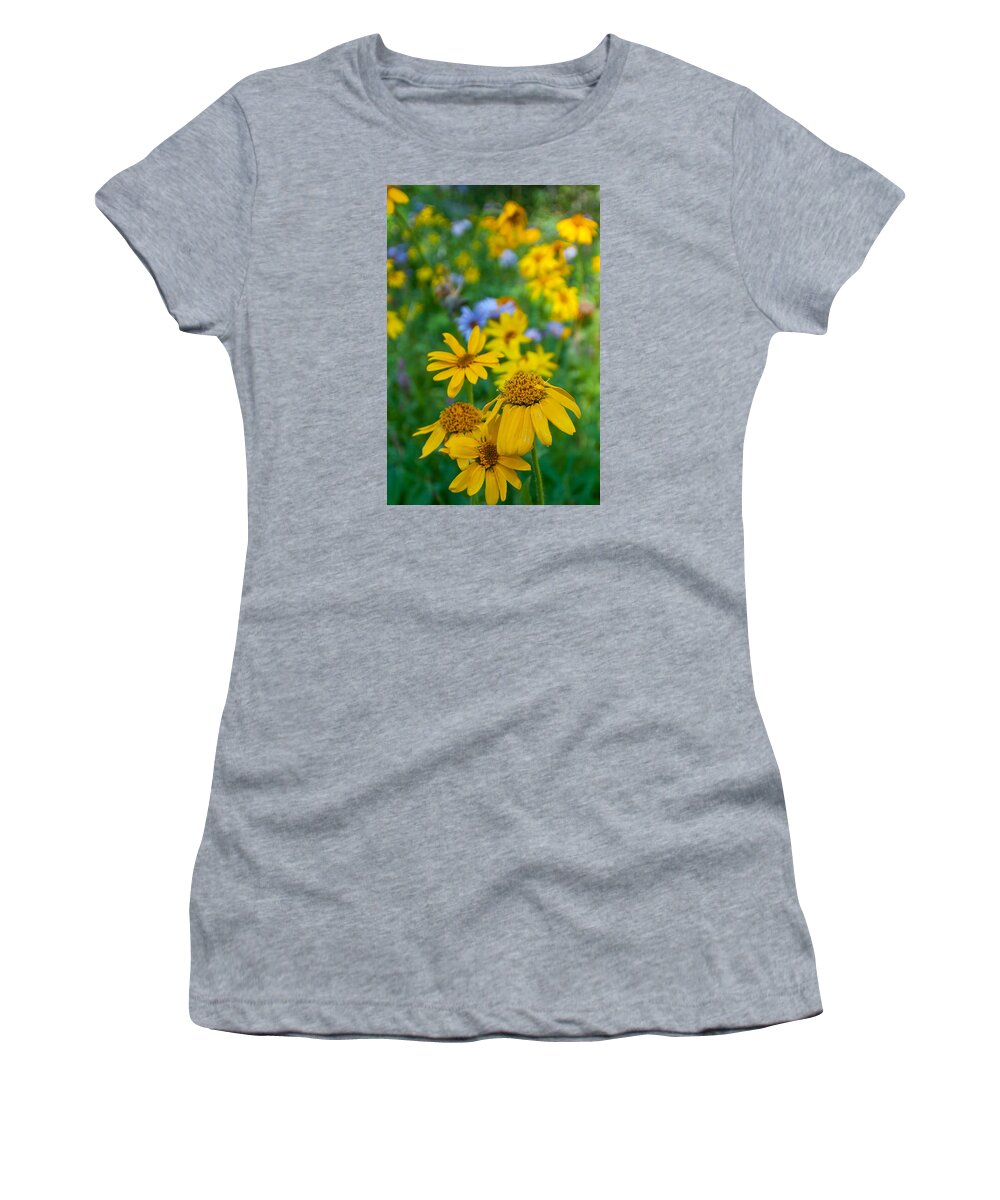Rocky Mountain Women's T-Shirt featuring the photograph Rocky Mountain Wildflowers by Cascade Colors