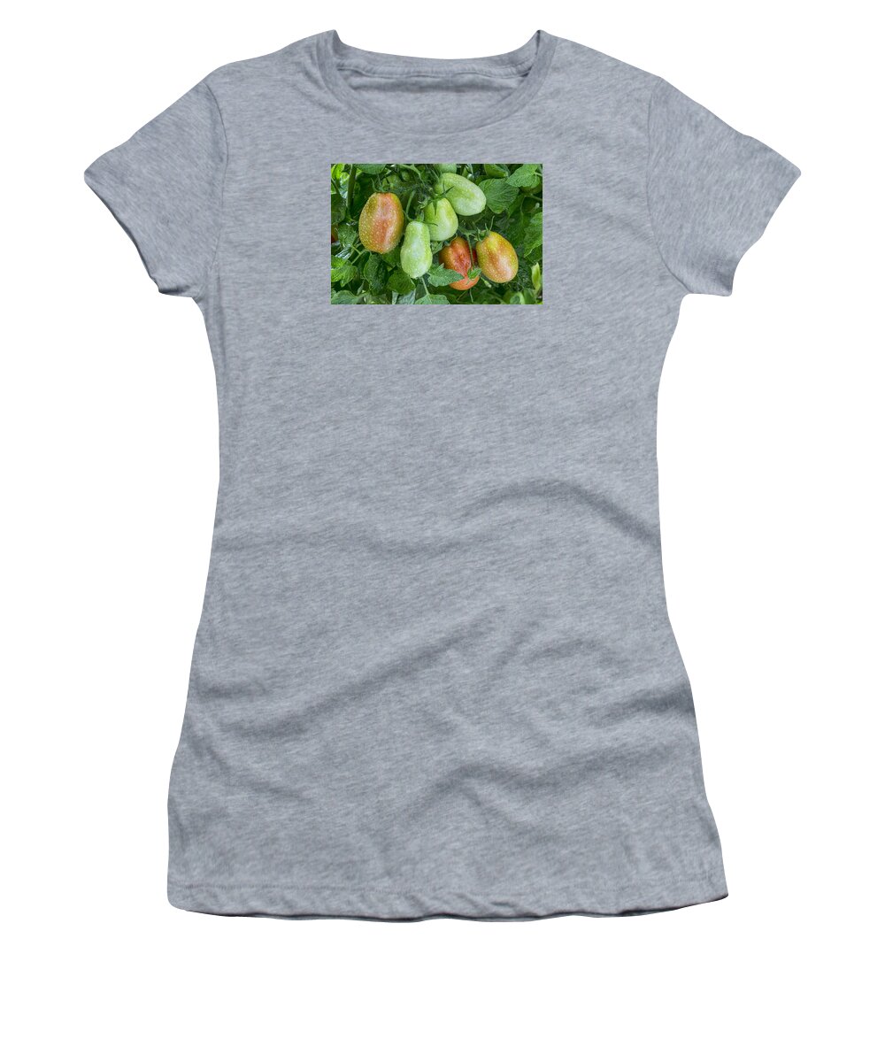 Roma Women's T-Shirt featuring the photograph Roma Raindrops by James BO Insogna